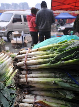 瘋狂的大蔥囤貨風波 經銷商獲利千萬與酒業的警示